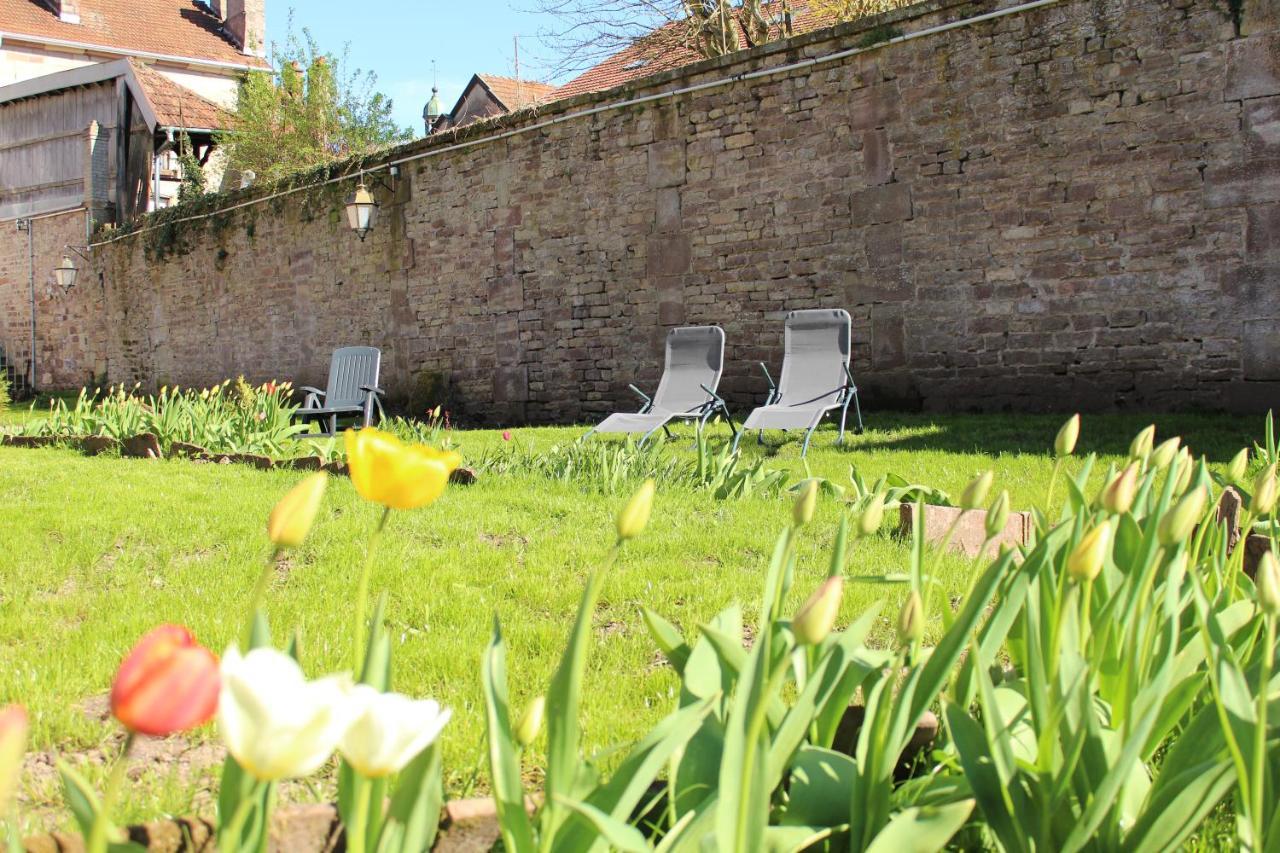 Hotel Le Napoleon Luxeuil-les-Bains Exteriér fotografie